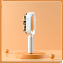 Anti-static HairBrush